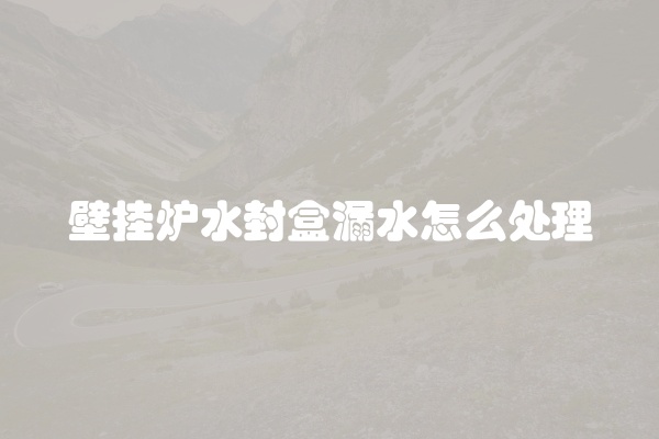 壁挂炉水封盒漏水怎么处理