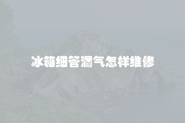冰箱细管漏气怎样维修