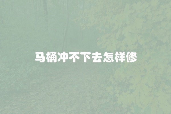 马桶冲不下去怎样修