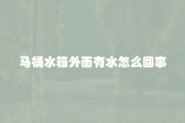 马桶水箱外面有水怎么回事