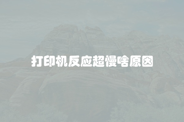 打印机反应超慢啥原因