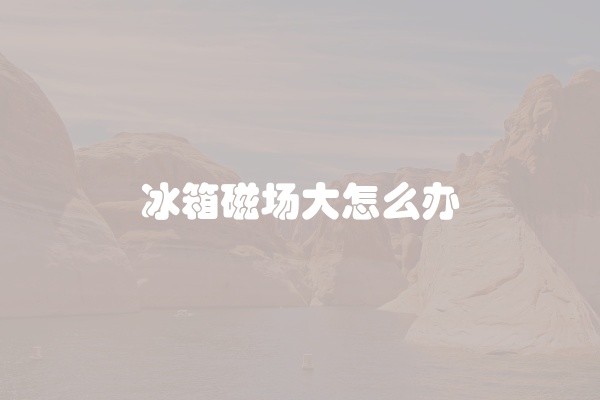 冰箱磁场大怎么办