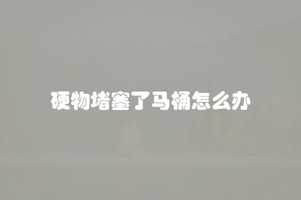 硬物堵塞了马桶怎么办