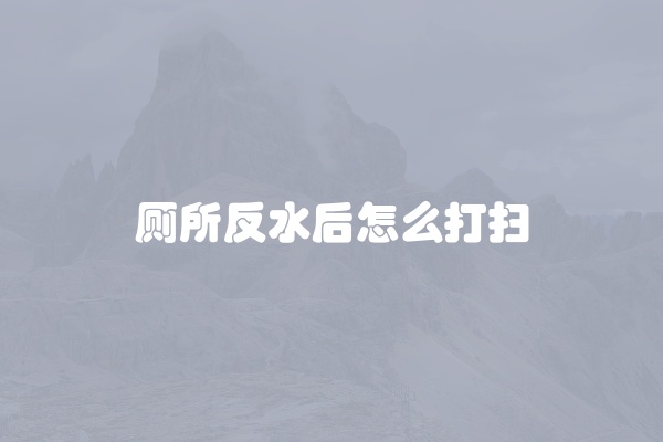 厕所反水后怎么打扫