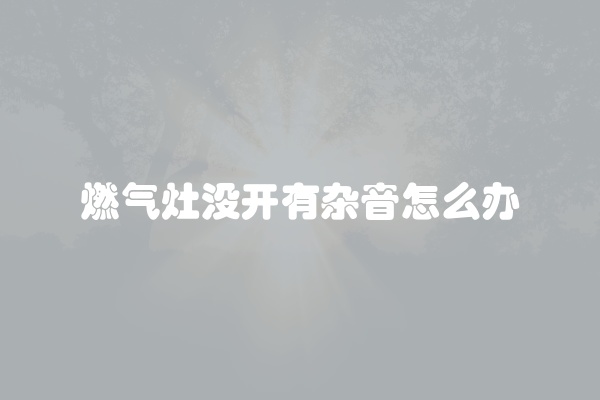 燃气灶没开有杂音怎么办