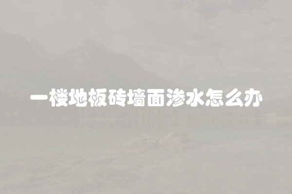 一楼地板砖墙面渗水怎么办