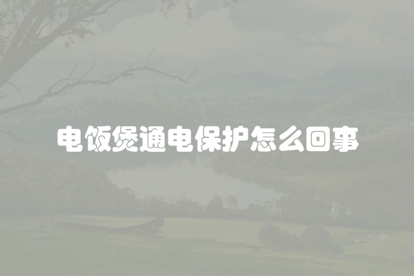 电饭煲通电保护怎么回事