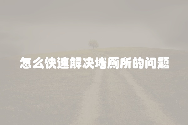 怎么快速解决堵厕所的问题