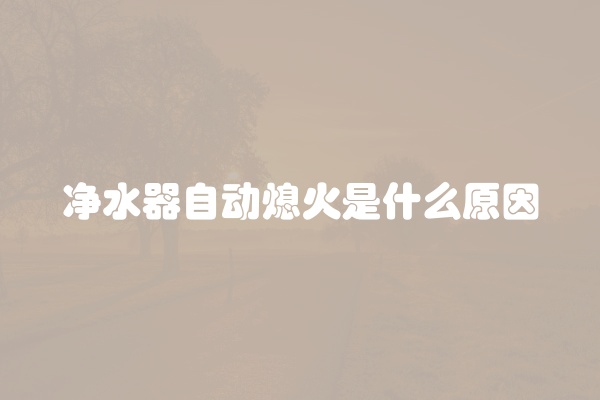 净水器自动熄火是什么原因