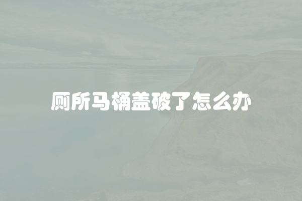 厕所马桶盖破了怎么办