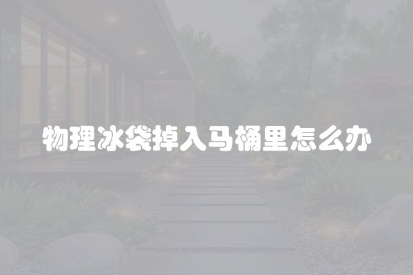 物理冰袋掉入马桶里怎么办