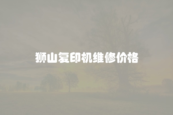 狮山复印机维修价格