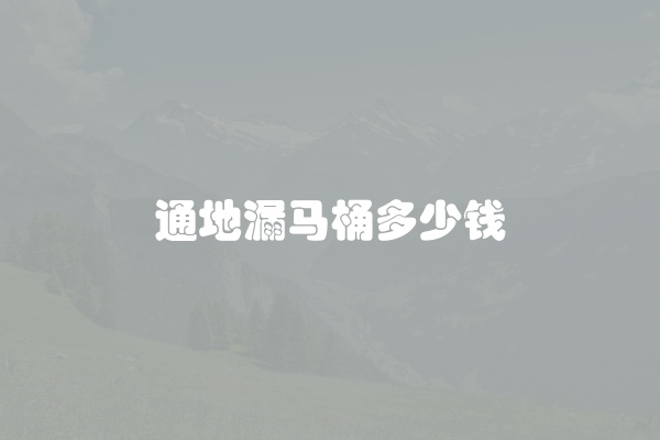 通地漏马桶多少钱