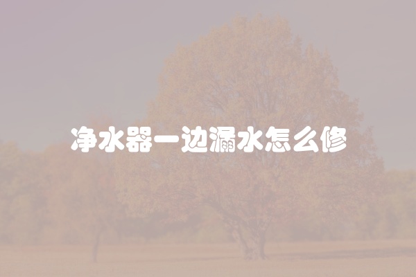净水器一边漏水怎么修