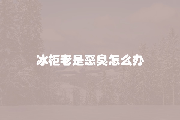 冰柜老是恶臭怎么办