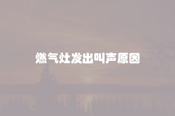 燃气灶发出叫声原因