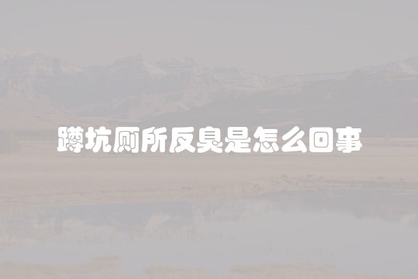 蹲坑厕所反臭是怎么回事